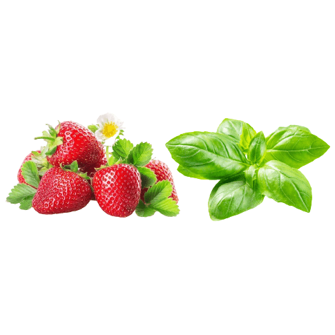 Fruchtzubereitung Erdbeere Basilikum